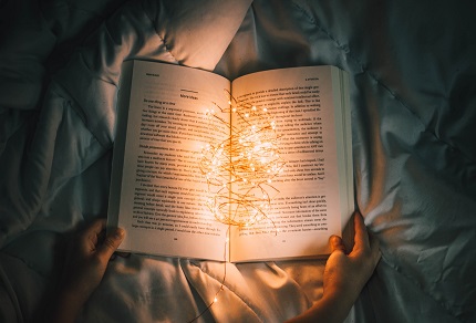 novel